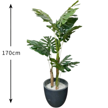 Garden Gyani Monstera X12 – 170 cm Tall Artificial Plant Without Pot | Lifelike Faux Tropical Greenery for Home & Office Décor