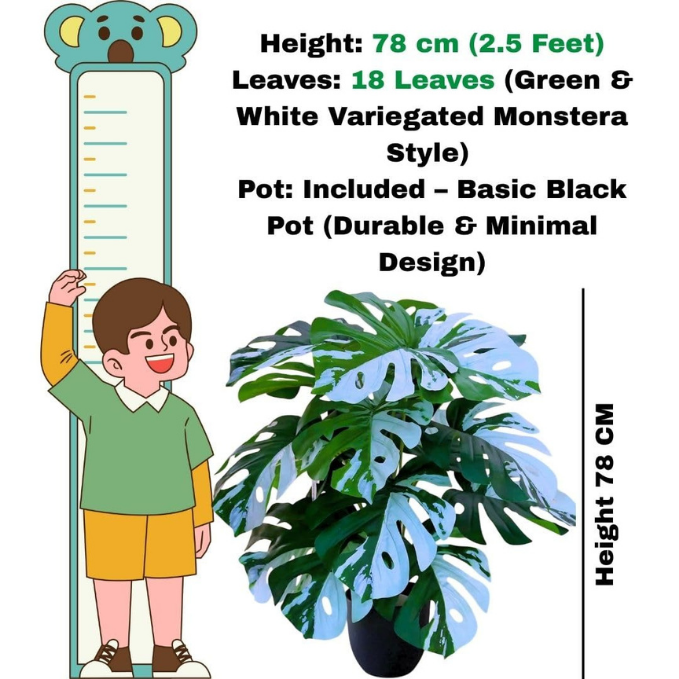 Garden Gyani Artificial Money Plant – 78 cm Tall Faux Green Plant with Pot | Lifelike Palm Leaves Monstera for Home, Office & Indoor Decoration