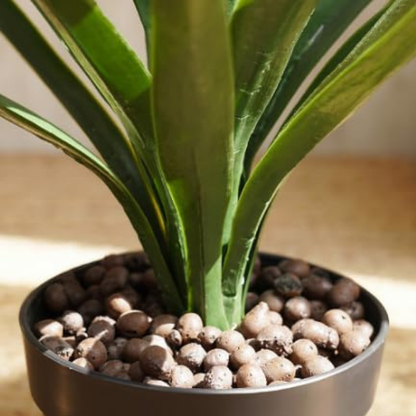 Garden Gyani Artificial Yucca Plant – 75 cm Tall Faux Green Plant for Indoor & Outdoor Décor | Lifelike Maintenance-Free Decorative Plant | Pot Not Included