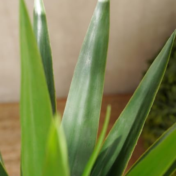 Garden Gyani Artificial Yucca Plant – 75 cm Tall Faux Green Plant for Indoor & Outdoor Décor | Lifelike Maintenance-Free Decorative Plant | Pot Not Included