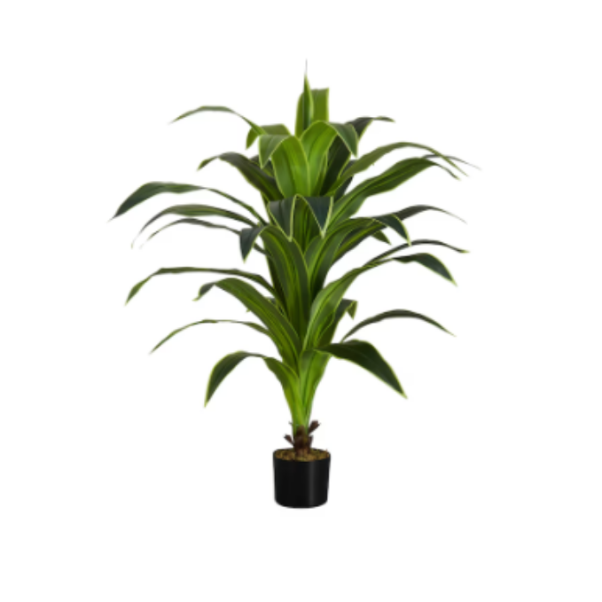 Garden Gyani Dracaena White – 150 cm Tall Artificial Plant Without Pot | Lifelike Faux Decorative Greenery for Home & Office