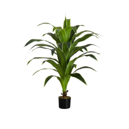 Garden Gyani Dracaena White – 150 cm Tall Artificial Plant Without Pot | Lifelike Faux Decorative Greenery for Home & Office