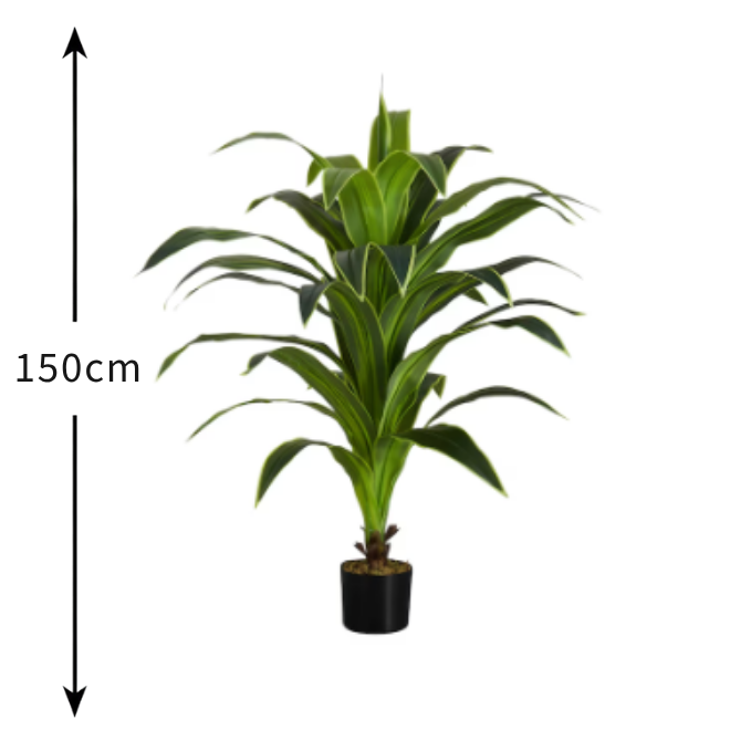Garden Gyani Dracaena White – 150 cm Tall Artificial Plant Without Pot | Lifelike Faux Decorative Greenery for Home & Office