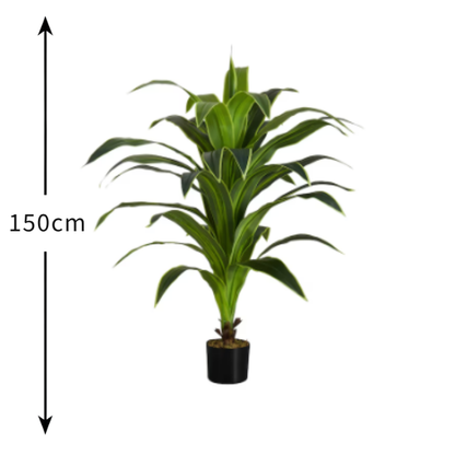 Garden Gyani Dracaena White – 150 cm Tall Artificial Plant Without Pot | Lifelike Faux Decorative Greenery for Home & Office