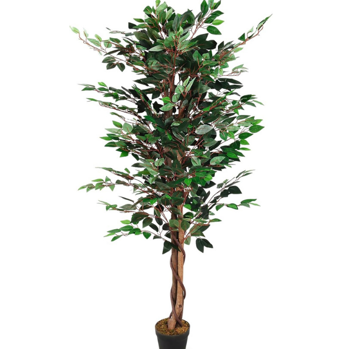 Garden Gyani 180cm Artificial Ficus Tree – Extra Tall Lifelike Faux Indoor Plant Without Pot for Home, Office & Hotel Décor