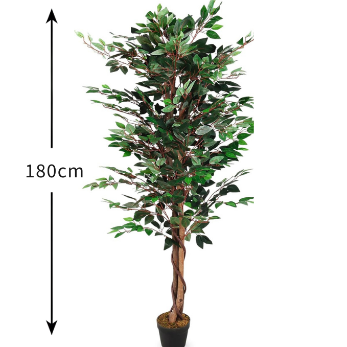 Garden Gyani 180cm Artificial Ficus Tree – Extra Tall Lifelike Faux Indoor Plant Without Pot for Home, Office & Hotel Décor