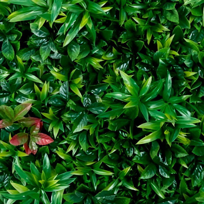 Garden Gyani 100x100cm Artificial Greenery Wall Panel – Lush Faux Vertical Garden Mat for Wall, Balcony, Fence & Home Décor