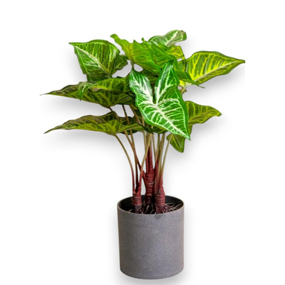 Garden Gyani Artificial Philodendron Plant – 40 cm (16") Tall Faux Green Plant with Plastic Pot | Realistic Indoor Decorative Plant for Home & Office Décor