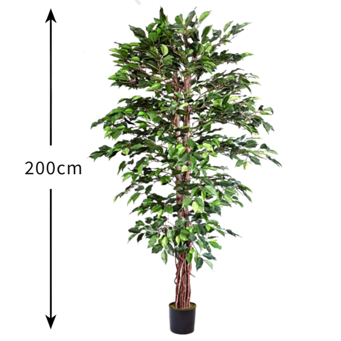 Garden Gyani 200cm Artificial Ficus Tree – Extra Tall Lifelike Faux Indoor Plant Without Pot for Home, Office & Event Décor