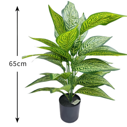 Garden Gyani Aglonema X18 – 65 cm Tall Artificial Plant | Lifelike Faux Indoor & Outdoor Décor