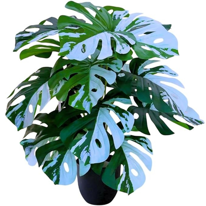Garden Gyani Artificial Money Plant – 78 cm Tall Faux Green Plant with Pot | Lifelike Palm Leaves Monstera for Home, Office & Indoor Decoration