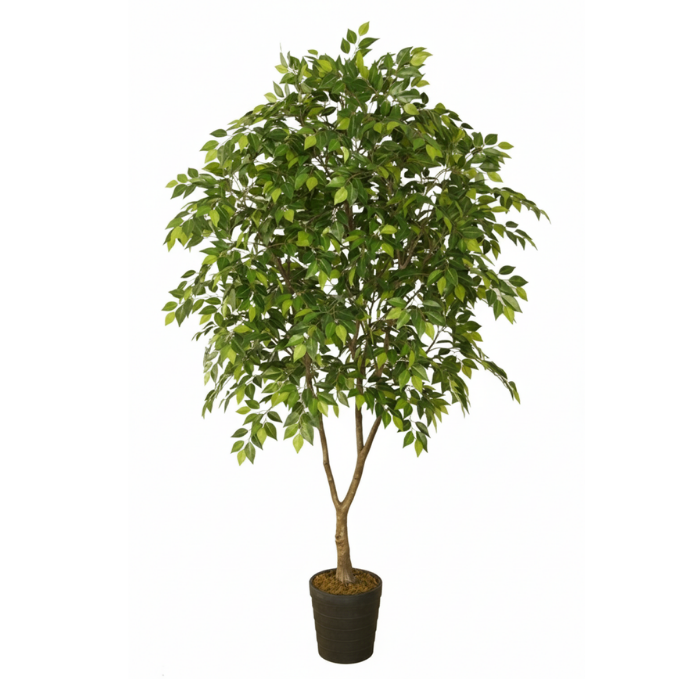 Garden Gyani 180cm Artificial Ficus Tree – Tall Lifelike Faux Indoor Plant Without Pot for Home, Office & Event Décor