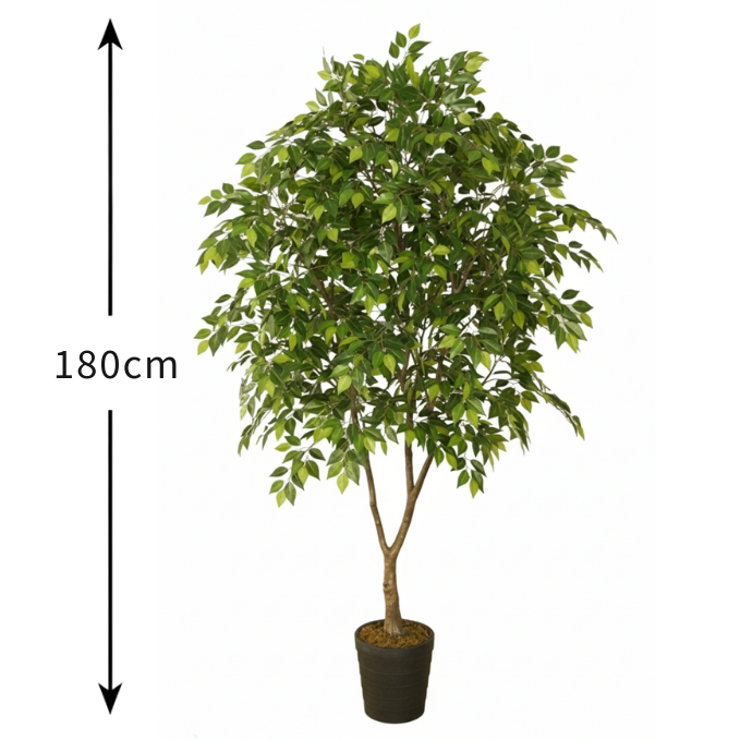 Garden Gyani 180cm Artificial Ficus Tree – Tall Lifelike Faux Indoor Plant Without Pot for Home, Office & Event Décor