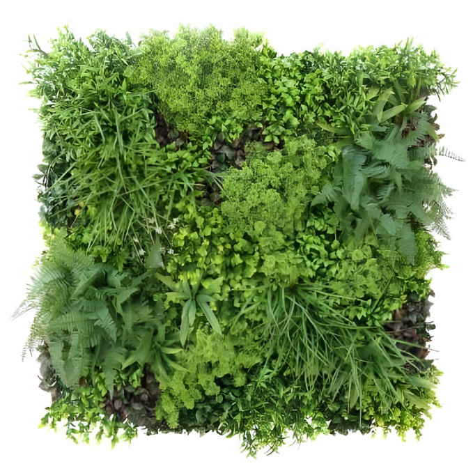 Garden Gyani 100x100cm Artificial Greenery Wall Panel – Lush Faux Vertical Garden Mat for Wall, Balcony, Fence & Indoor-Outdoor Décor