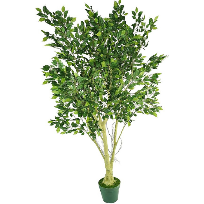 Garden Gyani 210cm Artificial Ficus Tree with Pot – Extra Tall 7ft Lifelike Faux Indoor Plant for Home, Office & Hotel Décor