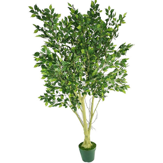 Garden Gyani 210cm Artificial Ficus Tree with Pot – Extra Tall 7ft Lifelike Faux Indoor Plant for Home, Office & Hotel Décor