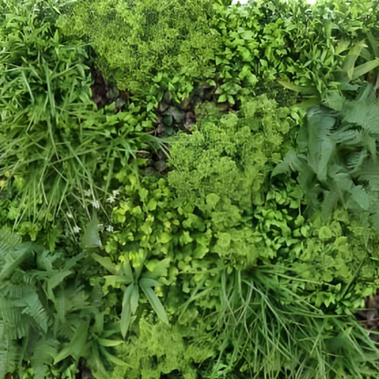 Garden Gyani 100x100cm Artificial Greenery Wall Panel – Lush Faux Vertical Garden Mat for Wall, Balcony, Fence & Indoor-Outdoor Décor