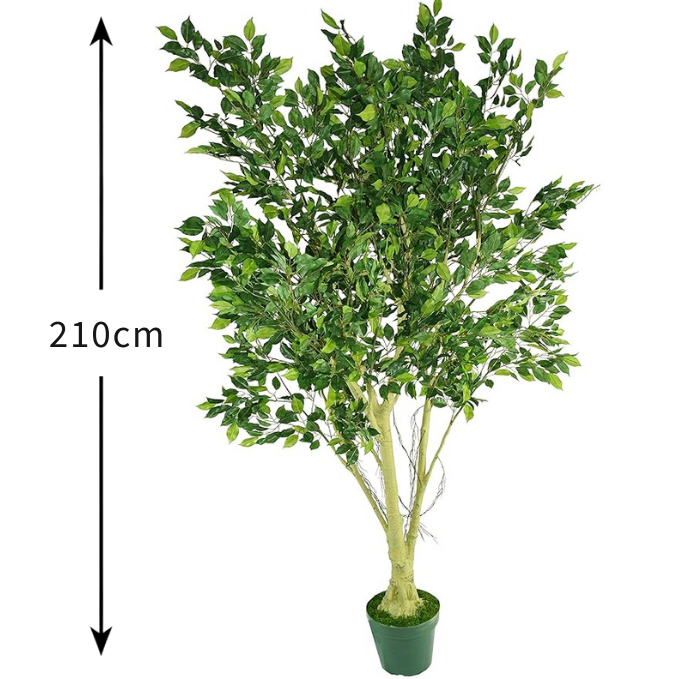 Garden Gyani 210cm Artificial Ficus Tree with Pot – Extra Tall 7ft Lifelike Faux Indoor Plant for Home, Office & Hotel Décor