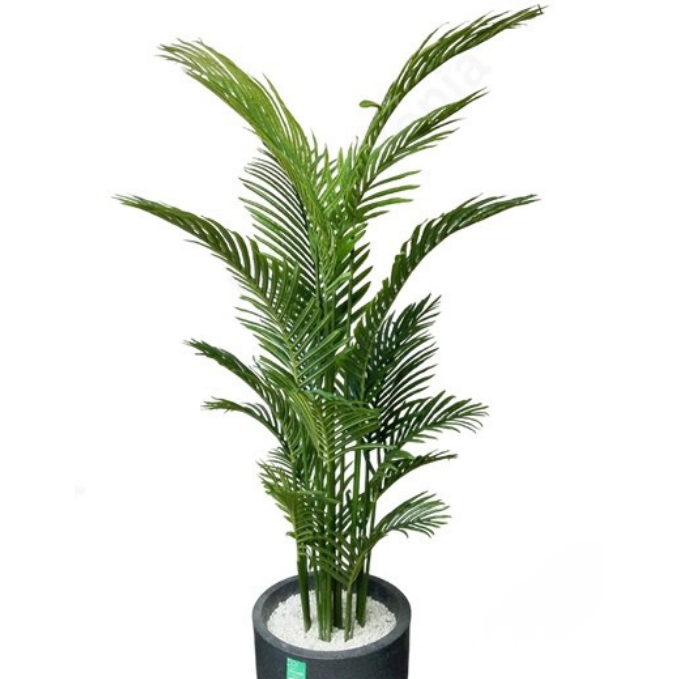 Garden Gyani Areca Palm X15 – 160 cm Tall Artificial Plant Without Pot | Extra-Full Faux Tropical Greenery for Home, Office & Event Décor