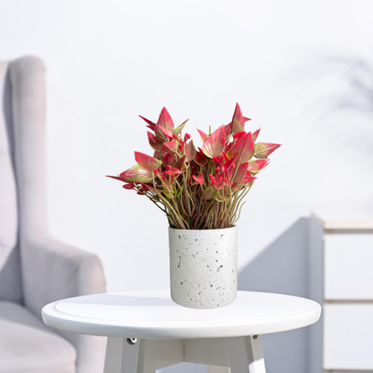 Garden Gyani Artificial Rubber Plant – Small Faux Potted Plant for Tabletop, Home, Bathroom & Office Décor | Indoor Decorative Greenery