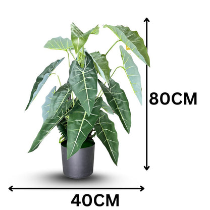 Garden Gyani Alocasia Polly Artificial Plant with Pot – 80cm Tall Faux African Mask Plant with Bold Veined Leaves | Indoor Tropical Plant for Home & Office Decor