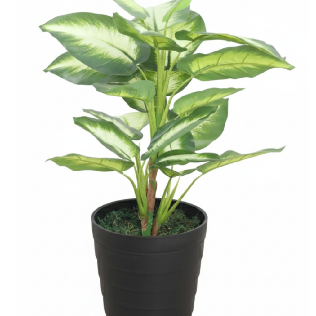 Garden Gyani Artificial Dieffenbachia Plant 65cm with Pot – Decorative Indoor Dumb Cane Plant