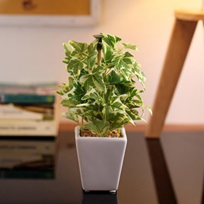 Garden Gyani Mini Artificial Wandering Plant – 19 cm Tall Faux Green Plant with Ceramic Vase | Indoor Decorative Plant for Home & Office Décor