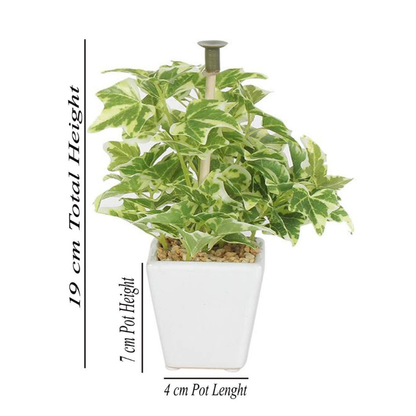 Garden Gyani Mini Artificial Wandering Plant – 19 cm Tall Faux Green Plant with Ceramic Vase | Indoor Decorative Plant for Home & Office Décor