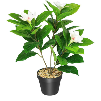 Garden Gyani Artificial Magnolia Plant – 18 cm Tall Faux White Flower Plant with Black Pot | Tabletop Decorative Plant for Home & Office Décor