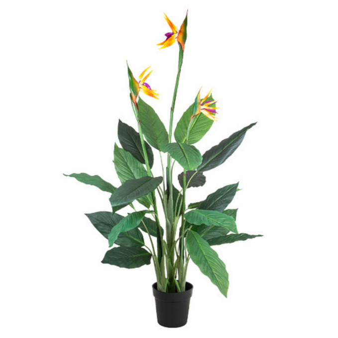 Garden Gyani 150cm Artificial Bird of Paradise Plant – 5ft Tall Faux Indoor Plant Without Pot for Home, Office & Event Décor