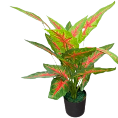 Garden Gyani Aglonema X18 – 65 cm Tall Artificial Plant | Lifelike Faux Indoor & Outdoor Décor