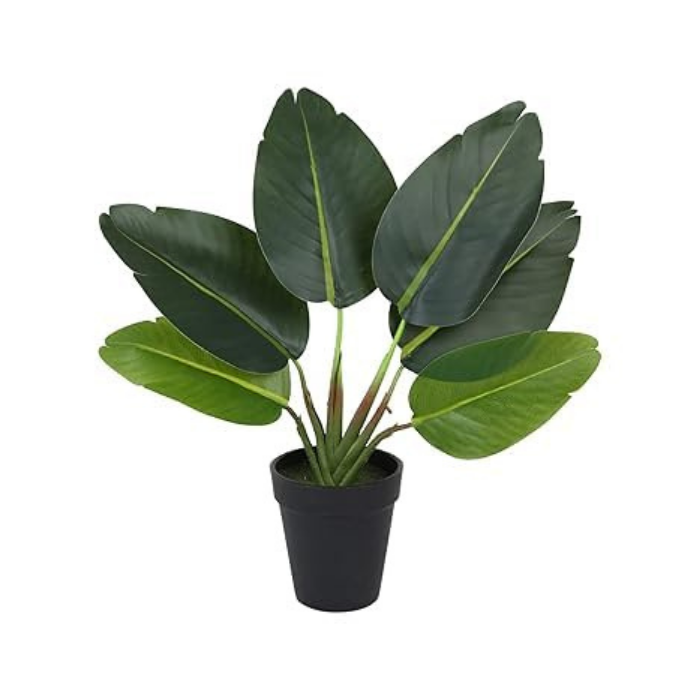 Garden Gyani Artificial Banana Travellers Palm Plant – 36 cm (14") Tall Faux Tropical Plant with Plastic Pot | Realistic Indoor Greenery for Home & Office Décor
