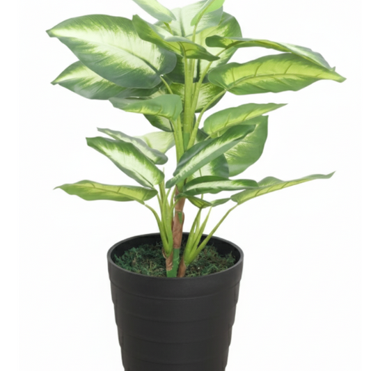 Garden Gyani Real Touch Dieffenbachia Artificial Plant (Without Pot) – Lifelike Decorative Green Plant for Home & Office Décor