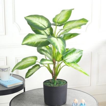 Garden Gyani Artificial Dieffenbachia Plant 65cm with Pot – Decorative Indoor Dumb Cane Plant
