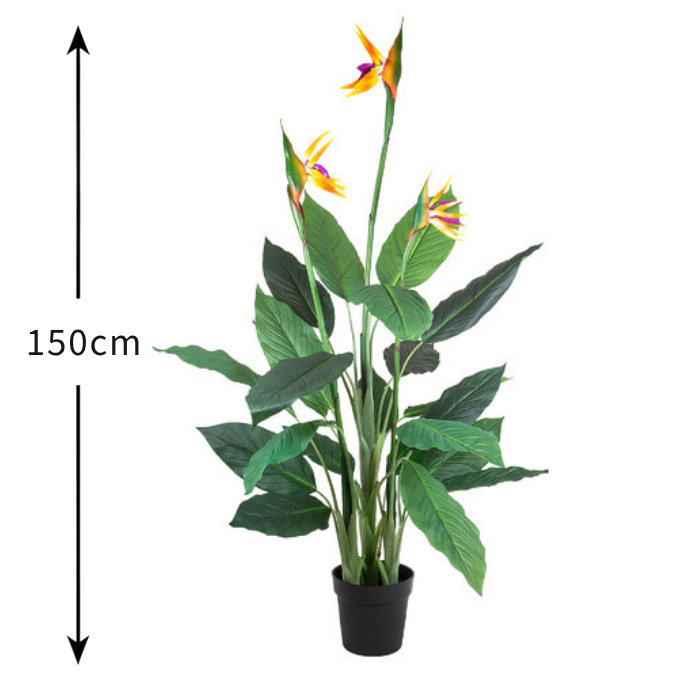 Garden Gyani 150cm Artificial Bird of Paradise Plant – 5ft Tall Faux Indoor Plant Without Pot for Home, Office & Event Décor