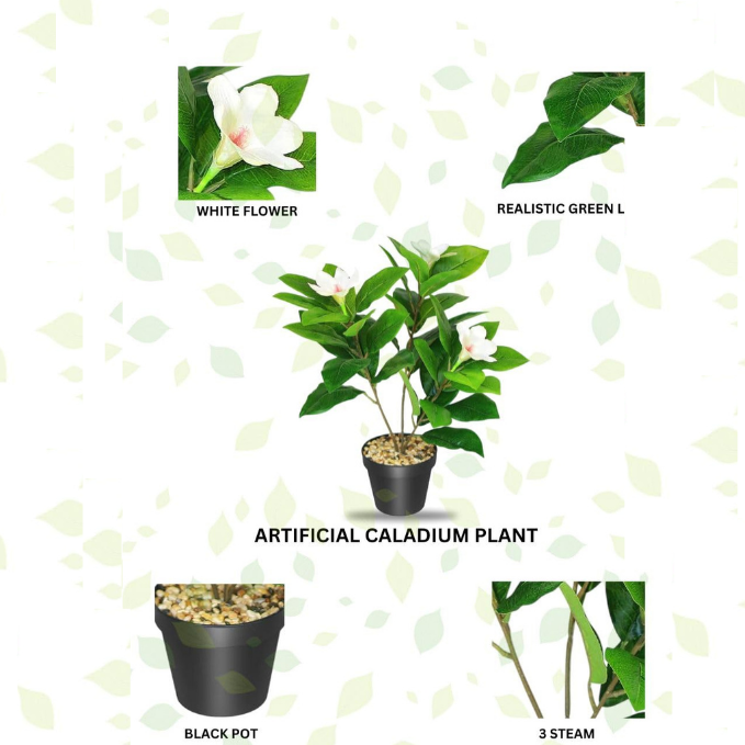 Garden Gyani Artificial Magnolia Plant – 18 cm Tall Faux White Flower Plant with Black Pot | Tabletop Decorative Plant for Home & Office Décor