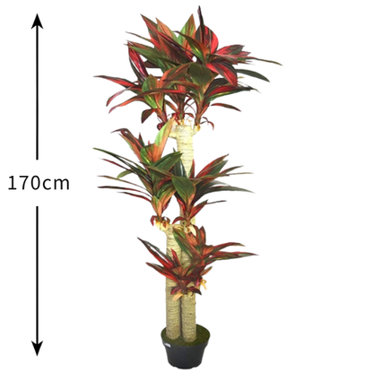 Garden Gyani Cordyline X3 Red – 170 cm Tall Artificial Plant with Pot | Lifelike Faux Tropical Greenery for Home & Office Décor