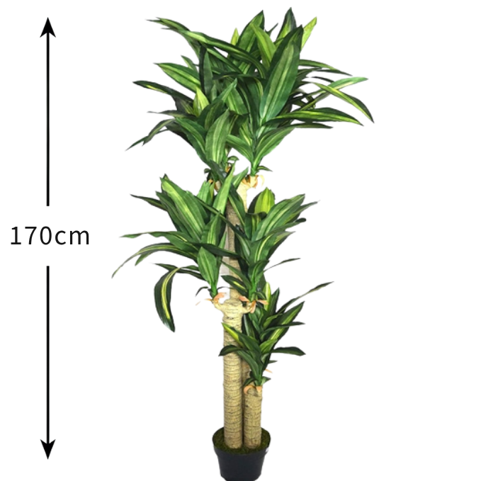 Garden Gyani Cordyline X3 Green – 170 cm Tall Artificial Plant with Pot | Lifelike Faux Tropical Greenery for Home & Office Décor