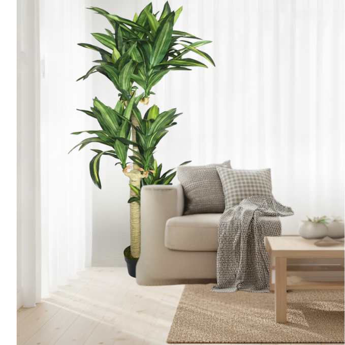 Garden Gyani Cordyline X3 Green – 170 cm Tall Artificial Plant with Pot | Lifelike Faux Tropical Greenery for Home & Office Décor
