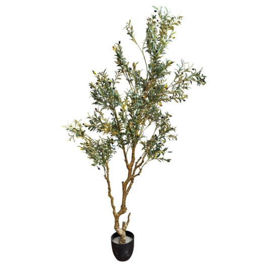 Garden Gyani 7.5 FT Artificial Olive Silk Tree – Tall Faux Olive Tree with Lush Green Leaves & Natural-Look Trunk | Indoor & Outdoor Decorative Plant for Home, Office & Balcony