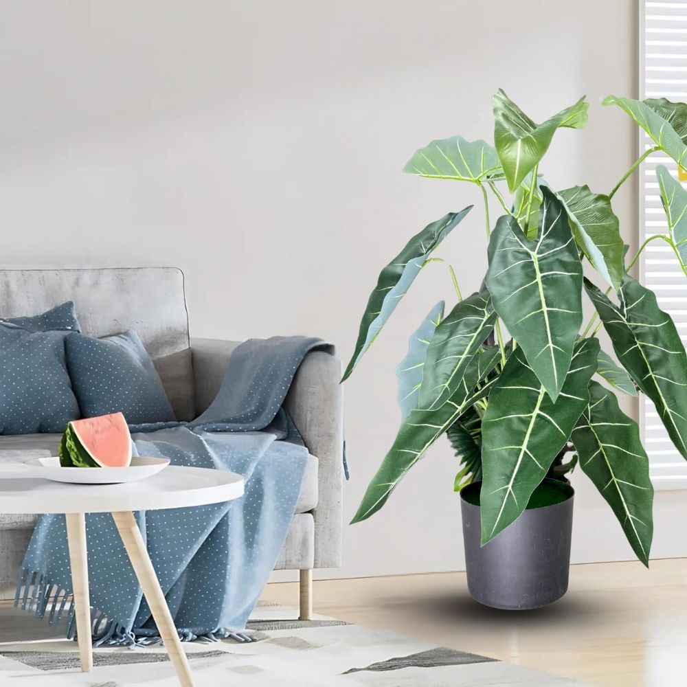 Garden Gyani Alocasia Polly Artificial Plant with Pot – 80cm Tall Faux African Mask Plant with Bold Veined Leaves | Indoor Tropical Plant for Home & Office Decor
