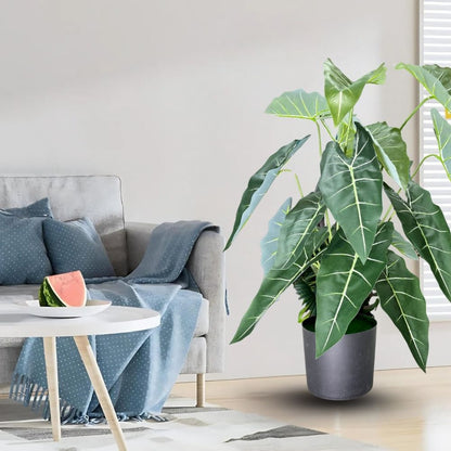 Garden Gyani Alocasia Polly Artificial Plant with Pot – 80cm Tall Faux African Mask Plant with Bold Veined Leaves | Indoor Tropical Plant for Home & Office Decor