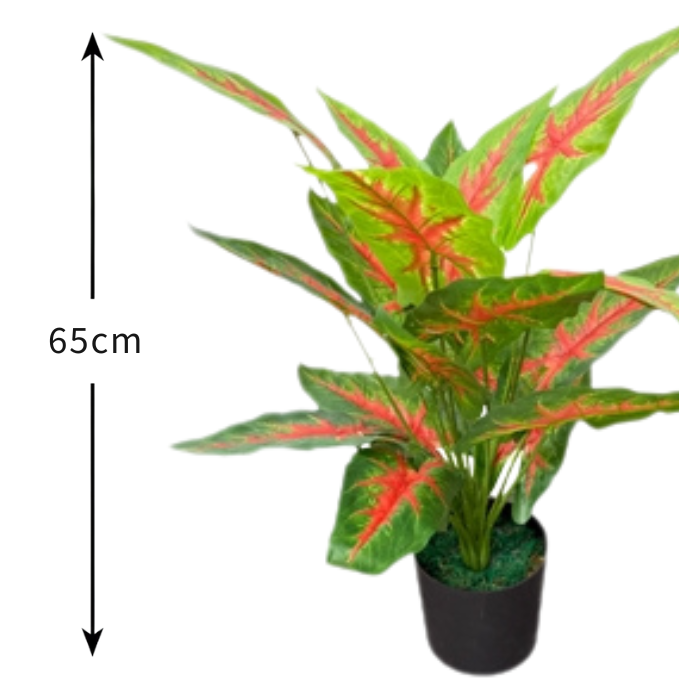 Garden Gyani Aglonema X18 – 65 cm Tall Artificial Plant | Lifelike Faux Indoor & Outdoor Décor