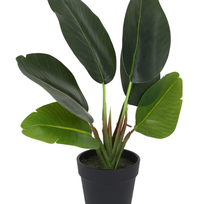Garden Gyani Artificial Banana Travellers Palm Plant – 36 cm (14") Tall Faux Tropical Plant with Plastic Pot | Realistic Indoor Greenery for Home & Office Décor