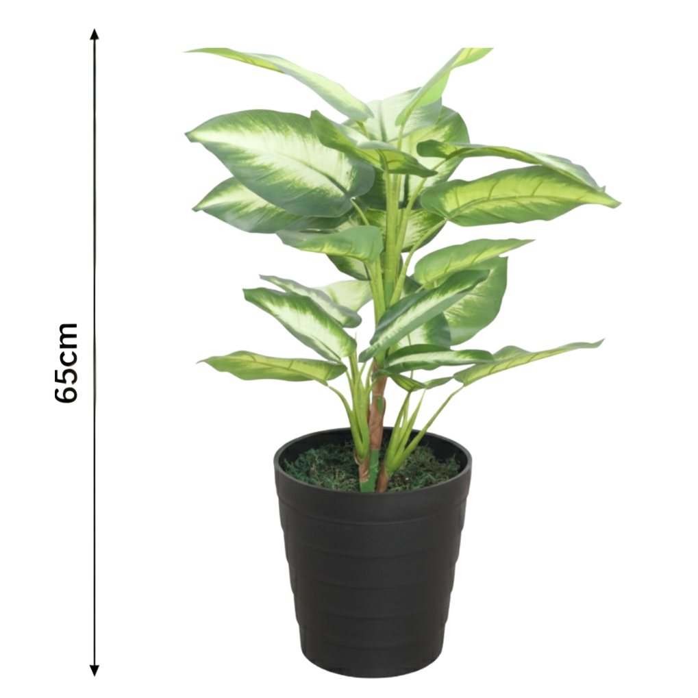 Garden Gyani Artificial Dieffenbachia Plant 65cm with Pot – Decorative Indoor Dumb Cane Plant