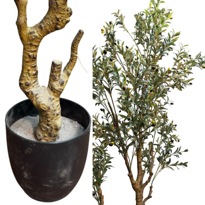 Garden Gyani 7.5 FT Artificial Olive Silk Tree – Tall Faux Olive Tree with Lush Green Leaves & Natural-Look Trunk | Indoor & Outdoor Decorative Plant for Home, Office & Balcony