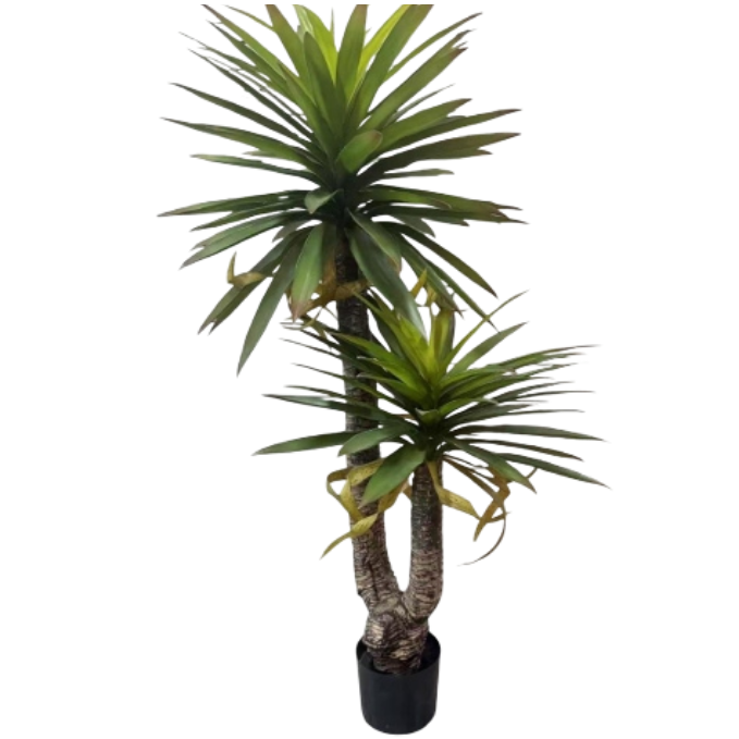 Garden Gyani Real Touch Yucca X2 – 140 cm Tall Artificial Plant Without Pot | Lifelike Faux Tropical Greenery for Home & Office