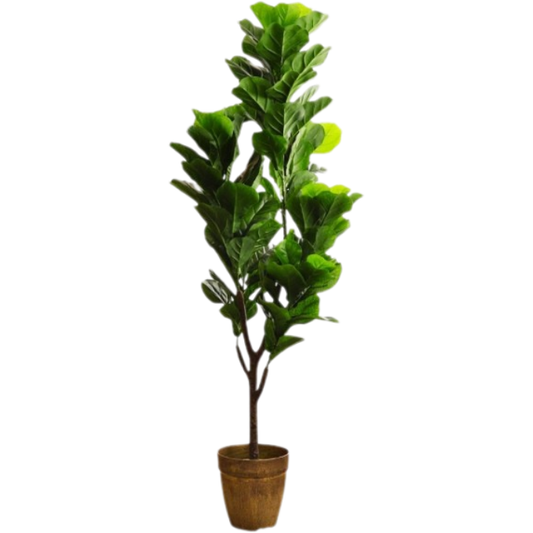 Garden Gyani Olive Plant – 150 cm Tall Artificial Plant | Lifelike Faux Indoor & Outdoor Décor Without Pot