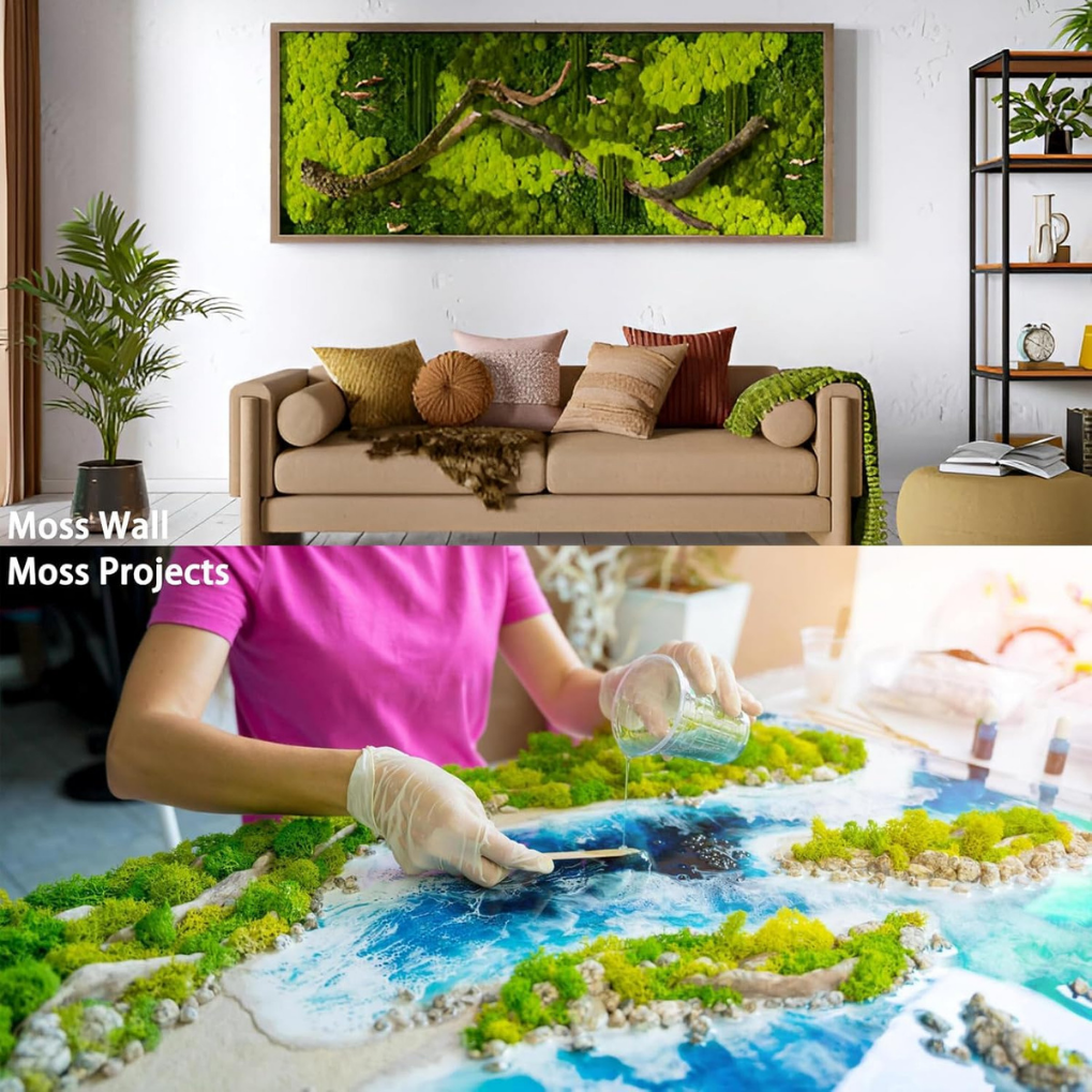 Premium White Preserved Reindeer Moss 1kg – Decorative Moss for Wall Art, Terrariums & Crafts