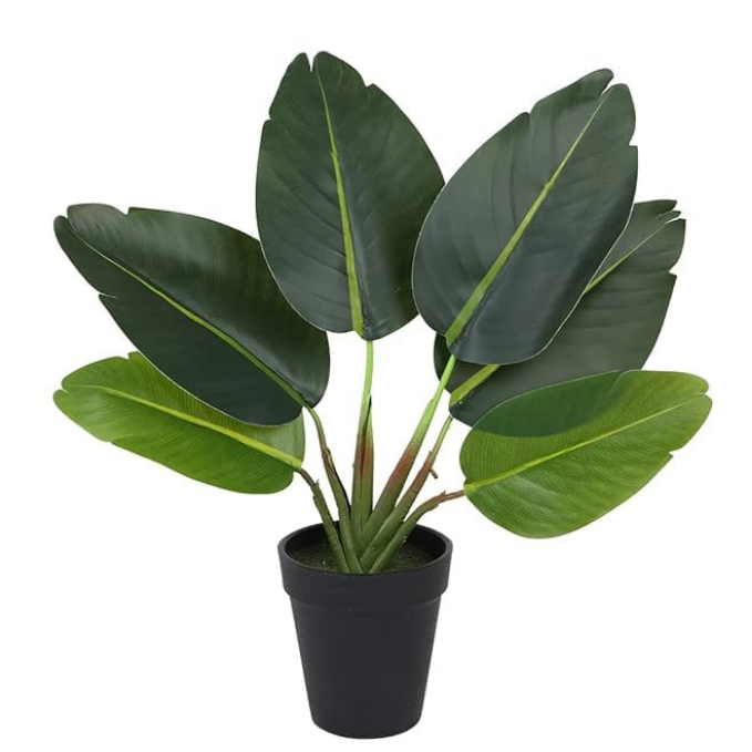 Garden Gyani Artificial Banana Travellers Palm Plant – 36 cm (14") Tall Faux Tropical Plant with Plastic Pot | Realistic Indoor Greenery for Home & Office Décor